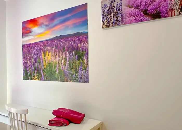 Appartement Vivalidays Remei - Fenals - *